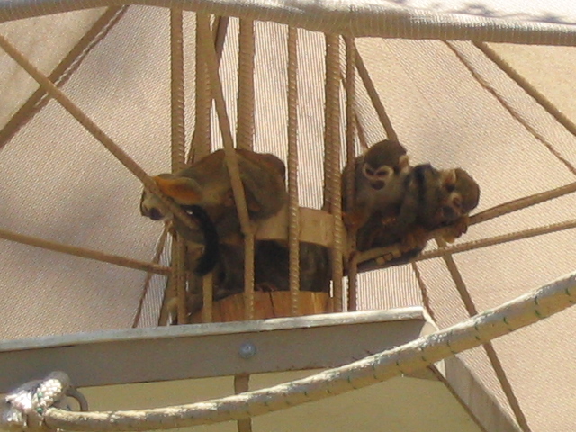 618x457 pixels (185K)